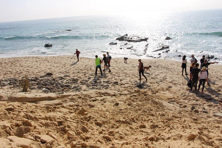 Mountain-to-Beach Hike on Costa de la Luz: Sierra de la Plata to Zahora photo 5