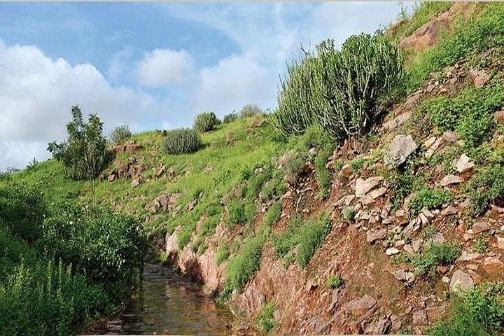 Rao Jodha Desert Rock Park Guided Walk — Volcanic Rocks, Desert Flora & Mehrangarh Views photo 1
