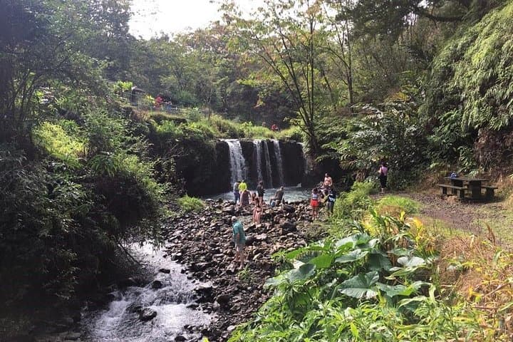 Road to Hana Day Trip from Lahaina: A Full-Day Adventure Through Maui’s Wild East photo 2