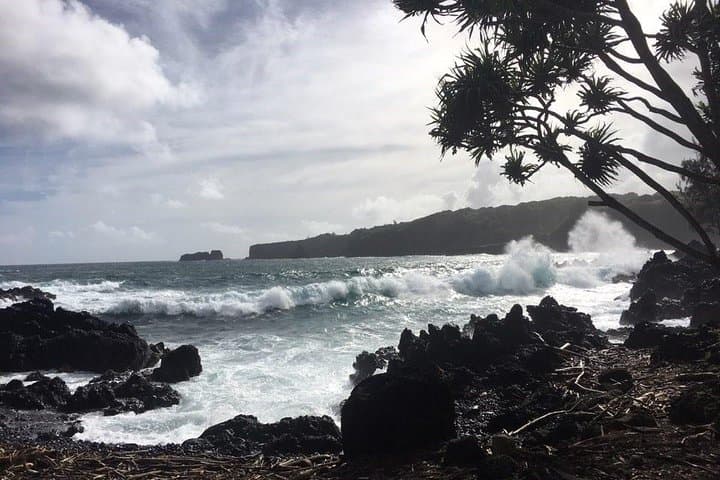 Road to Hana Day Trip from Lahaina: A Full-Day Adventure Through Maui’s Wild East photo 3