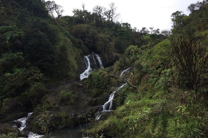 Oahu to Maui Road to Hana Day Trip — Round-Trip Air Included photo 2