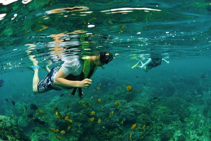 Amazing Snorkeling in Bali: Coral Gardens & Turtle Encounters from Ubud photo 6