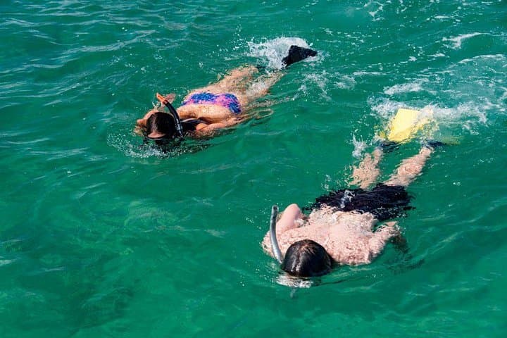 Amazing Snorkeling in Bali: Coral Gardens & Turtle Encounters from Ubud photo 2