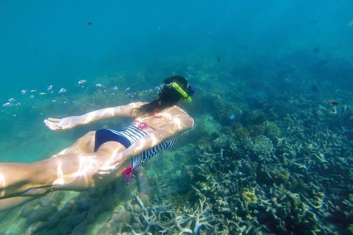 Amazing Snorkeling in Bali: Coral Gardens & Turtle Encounters from Ubud