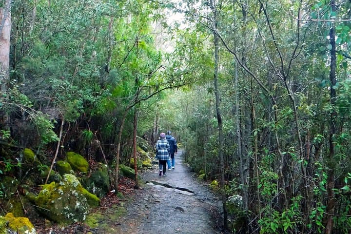 Kunanyi Mt Wellington Explorer Bus — 2.5-Hour Return Tour from Hobart photo 6