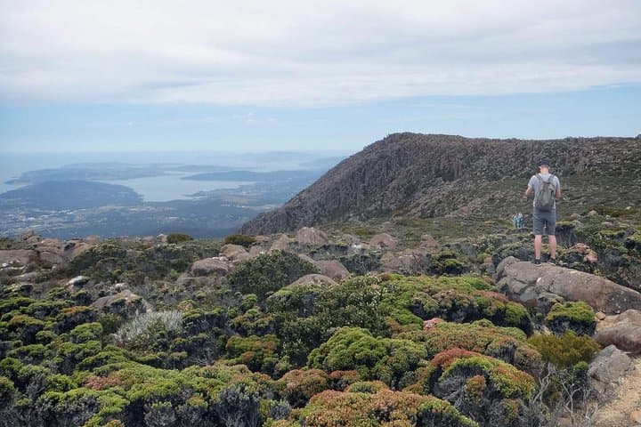 Kunanyi Mt Wellington Explorer Bus — 2.5-Hour Return Tour from Hobart photo 4