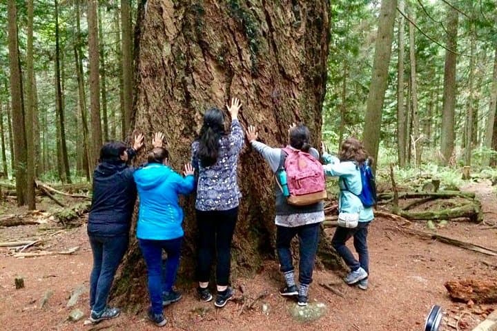 Talking Trees — Stanley Park Indigenous Walking Tour at Beaver Lake photo 4