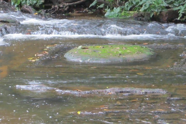 Phnom Kulen Waterfalls & Killing Fields Day Tour — River of a Thousand Lingas photo 3