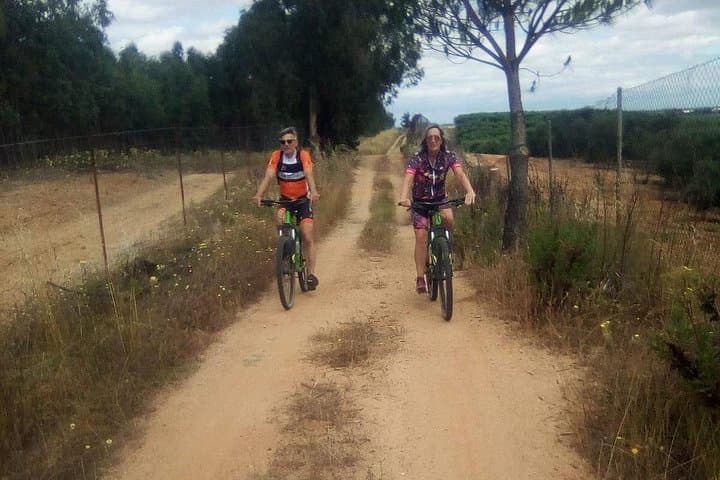 Seville Mountain Bike Tour: 65 km Dehesa de Abajo Doñana MTB Loop photo 4