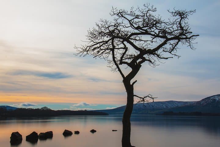 Loch Lomond, Stirling Castle & The Kelpies: Day Trip from Edinburgh photo 2