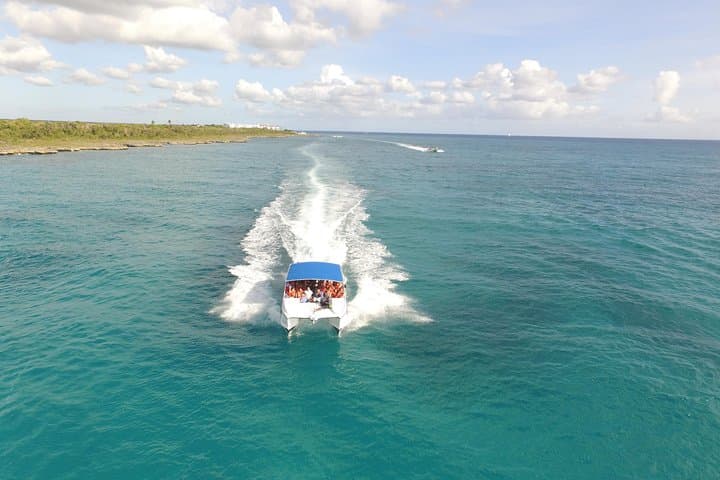 Full-Day Saona Island Excursion from Punta Cana — Speedboat & Catamaran Day Trip photo 5