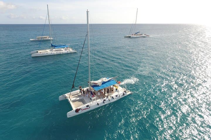 Full-Day Saona Island Excursion from Punta Cana — Speedboat & Catamaran Day Trip photo 3