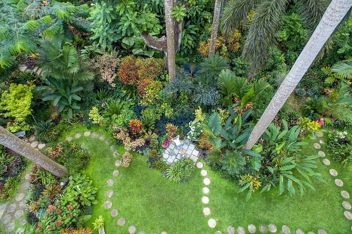 Hunte's Gardens Barbados: Explore the Lush Gully Garden of Anthony Hunte