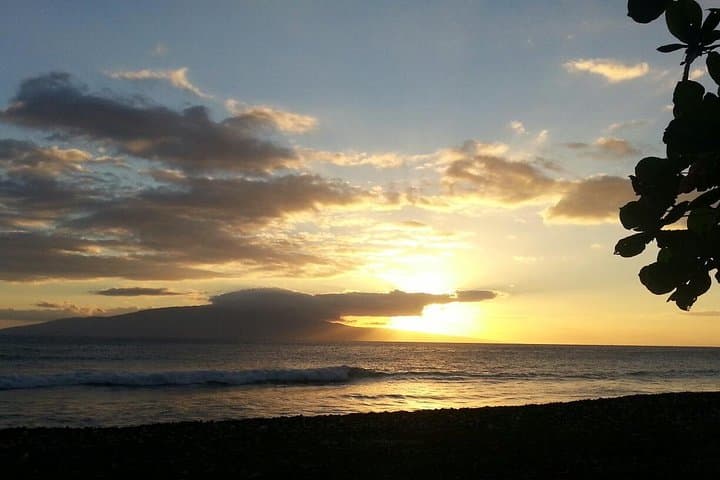Private Maui Van Tour: Road to Hana, Turtle Town Snorkel & Upcountry Winery Stops photo 3