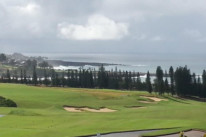Private Maui Van Tour: Road to Hana, Turtle Town Snorkel & Upcountry Winery Stops photo 4