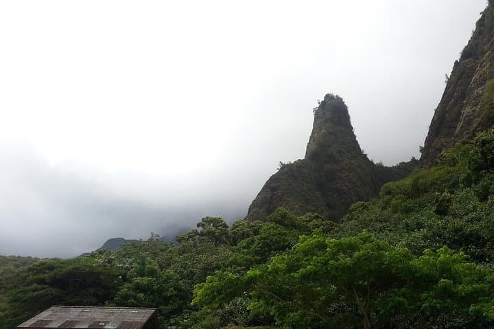 Private Maui Van Tour: Road to Hana, Turtle Town Snorkel & Upcountry Winery Stops