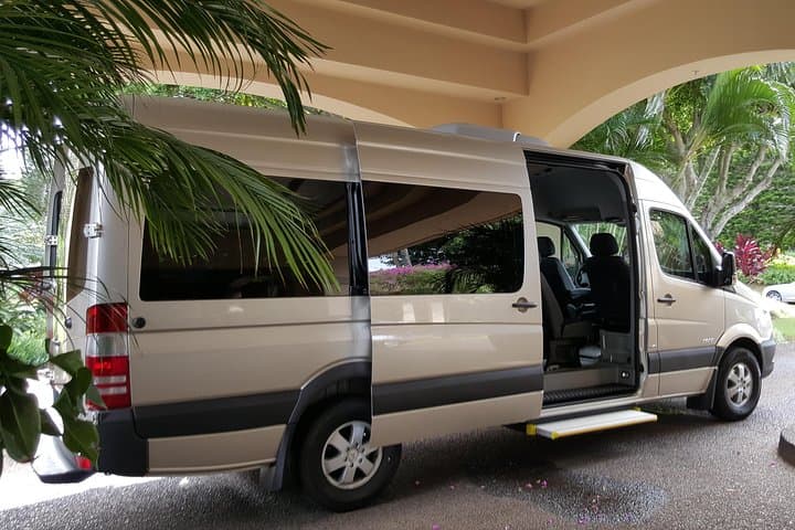 Private Maui Van Tour: Road to Hana, Turtle Town Snorkel & Upcountry Winery Stops photo 6