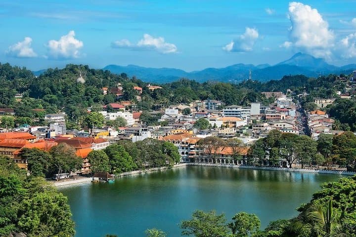 Kandy and Pinnawala Private Day Tour from Colombo: Temple, Tea & Elephant Encounters photo 6