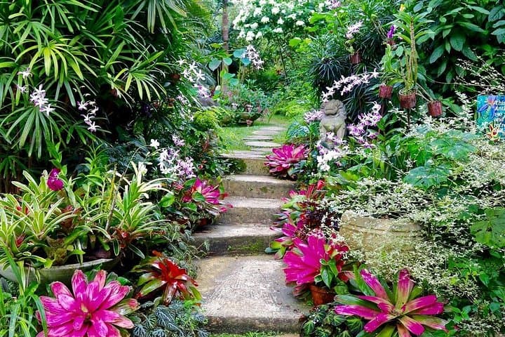 Hunte's Gardens Barbados: Explore the Lush Gully Garden of Anthony Hunte photo 2