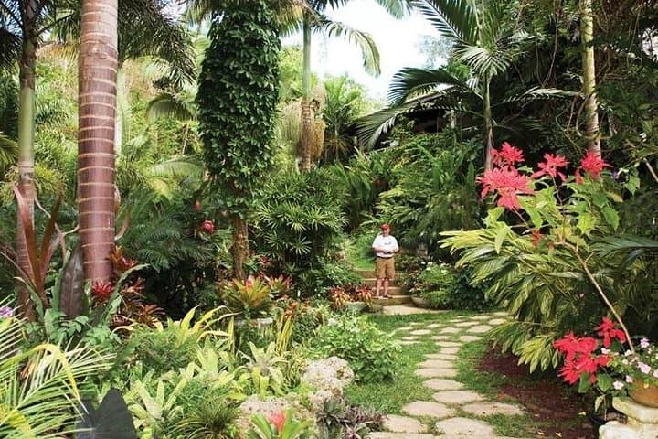 Hunte's Gardens Barbados: Explore the Lush Gully Garden of Anthony Hunte photo 3