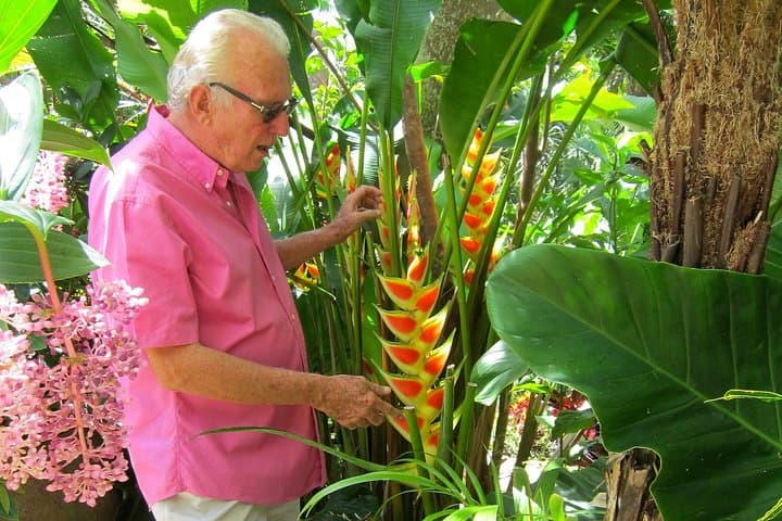 Hunte's Gardens Barbados: Explore the Lush Gully Garden of Anthony Hunte photo 4