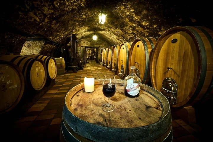 Melnik Chateau Day Trip from Prague: Castle, Cellars & Wine Tasting photo 3