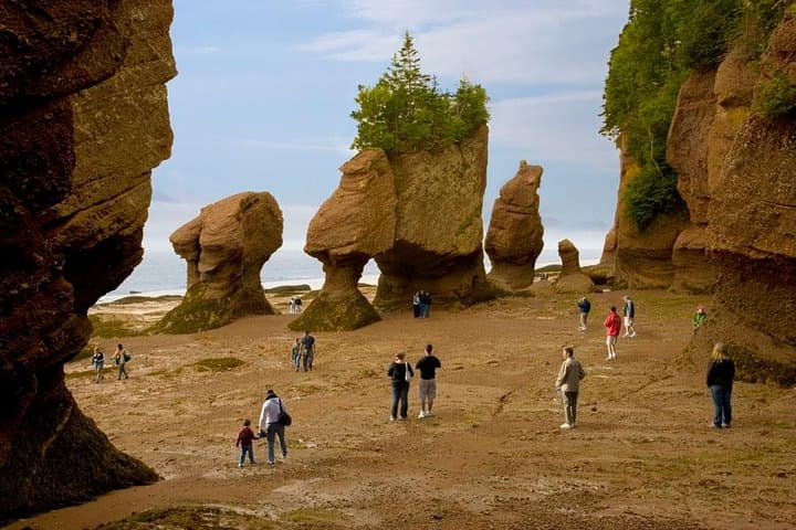 Hopewell Rocks Admission — Walk the Bay of Fundy’s Ocean Floor and See the World’s Highest Tides