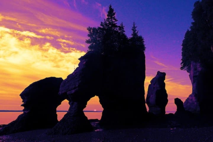 Hopewell Rocks Admission — Walk the Bay of Fundy’s Ocean Floor and See the World’s Highest Tides photo 6