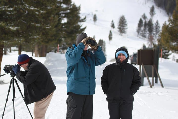 Winter Wildlife Safari: Grand Teton & National Elk Refuge Sleigh Tour photo 6
