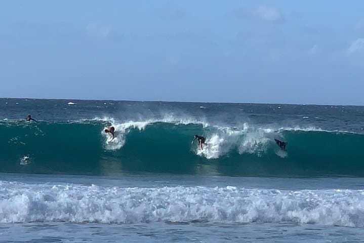 Private Oahu Custom Tour: Beaches, North Shore Shrimp Trucks & Turtle Watching photo 6