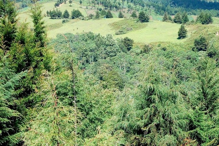 Nairobi Zip Lining Over Aberdare Forest: Full-Day Canopy Adventure photo 4