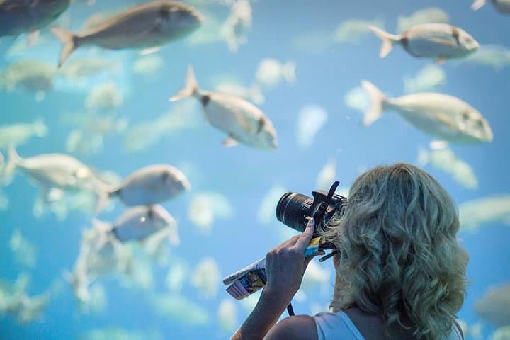 Skip-the-Line Palma Aquarium from Port Alcudia — Bus Transfer & Entry photo 5