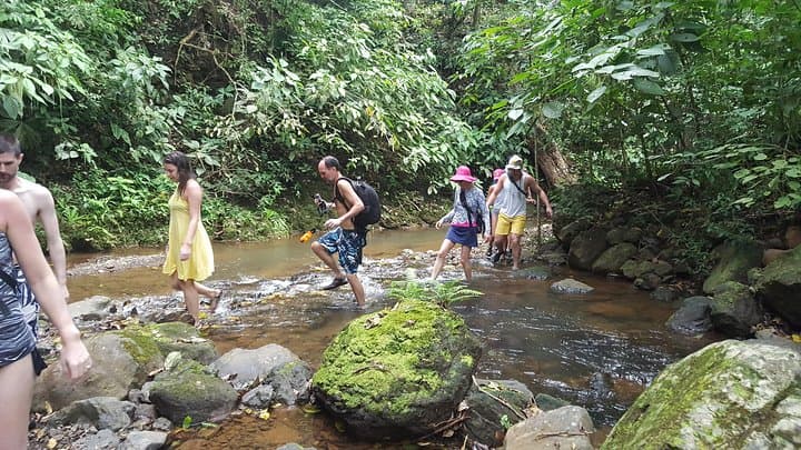 San José Nature Explorer: Tarcoles Crocodiles, Jungle River Hike & Cliff Jumps photo 2