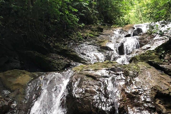 San José Nature Explorer: Tarcoles Crocodiles, Jungle River Hike & Cliff Jumps photo 5