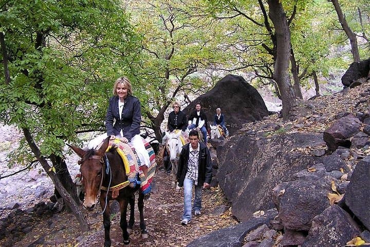 Atlas Mountains Day Trek from Marrakech — Imlil & Aremd Village Hike photo 4