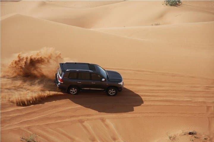 Doha Desert Safari: Dune Bashing, Camel Ride & Inland Sea Day Trip photo 3