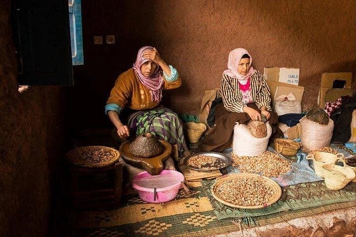 Essaouira Day Trip from Marrakech: Coastal Medina, Argan Goats & Atlantic Beaches photo 3