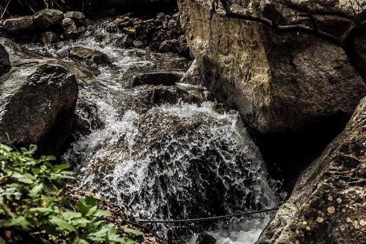 Ourika Valley Day Trip — Atlas Mountains Waterfalls & Berber Villages from Marrakech photo 1