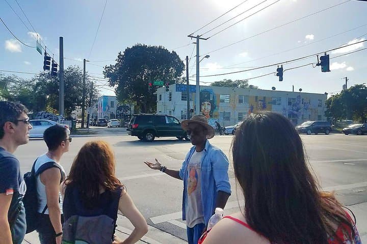 Explore Wynwood Street Art with Local Artist Roberto Manoly photo 4