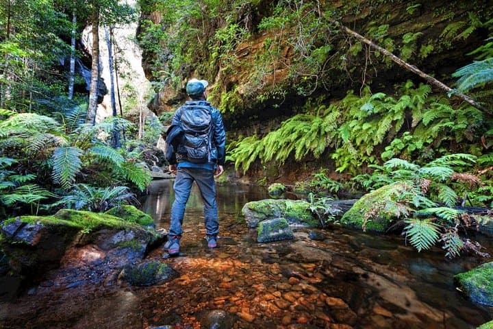 Private Blue Mountains Day Trip from Sydney — Echo Point, Wentworth Falls & Hidden Lookouts photo 2