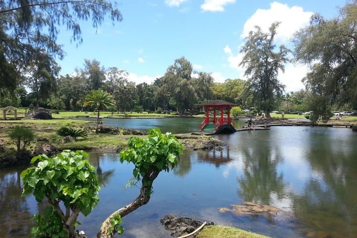 Hilo Highlights: Waterfalls, Gardens & Local Secrets Tour photo 2