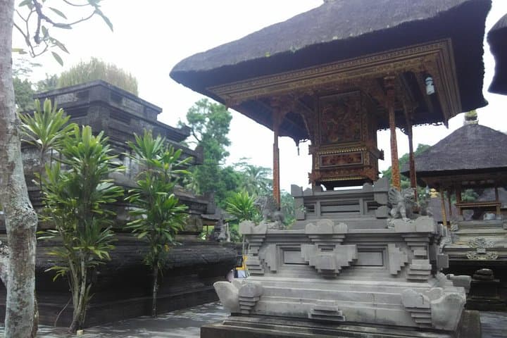 Discover Tranquility with Bali's Sacred Purification Ritual photo 6