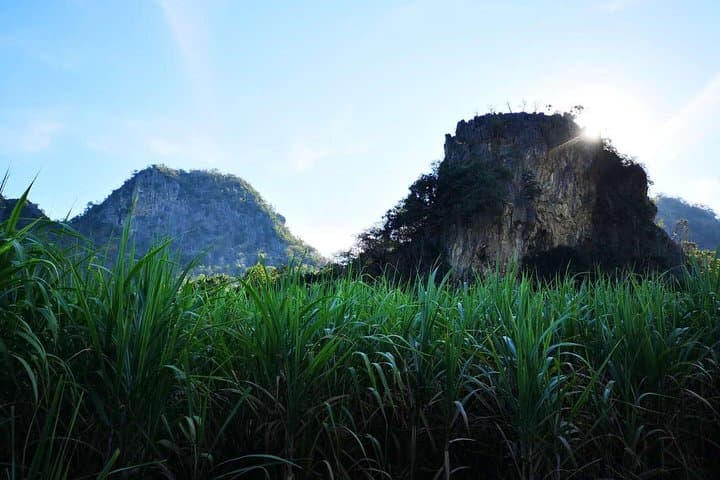 Rural Cycling in Kanchanaburi: 2–3 Hour Ride Through Rice Fields & Birdlife photo 6
