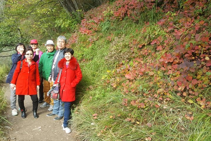 Plitvice Lakes & Rastoke Private Day Tour from Zagreb — Skip-the-Line Guided Visit photo 6