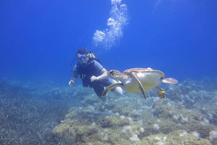 Scuba Diving Side Turkey Underwater Museum — Guided Dives from Side Harbor photo 3