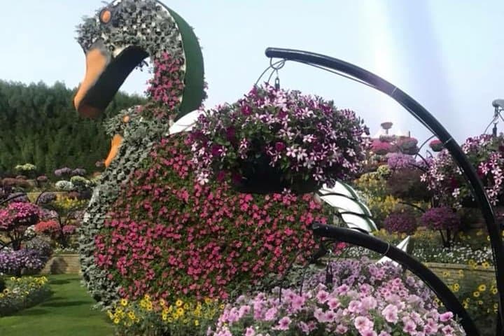 Dubai Miracle Garden & Butterfly Garden: Private Transfers and Tickets for a Floral Day Out photo 5