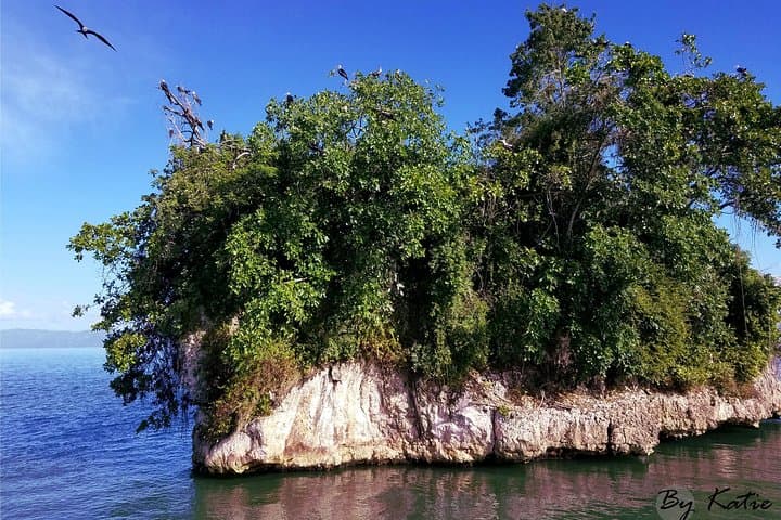 Catamaran to Los Haitises & Cayo Levantado: Samana Day Trip with Lunch photo 3