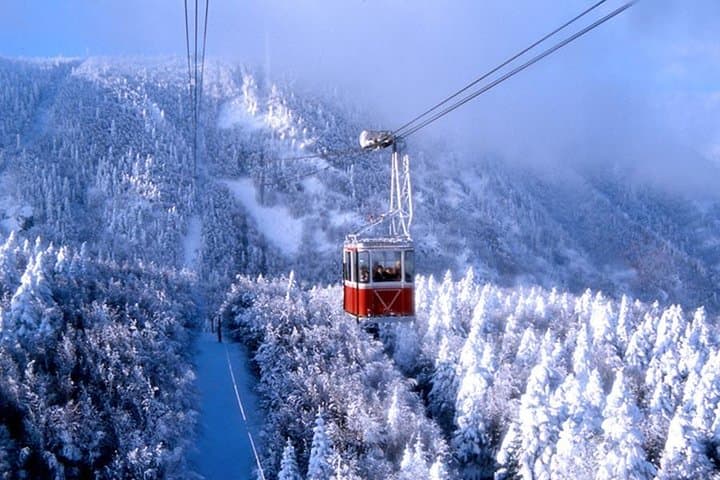 Green Bursa Full-Day: Uludağ Cable Car, Green Mosque & Historic Plane Tree
