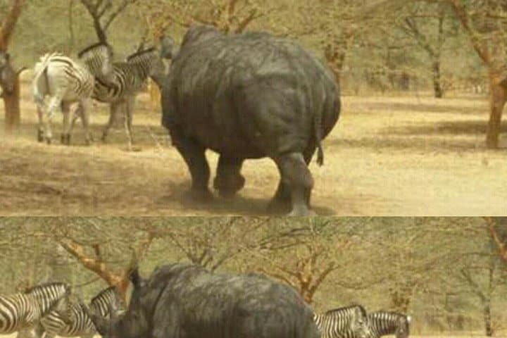 Bandia Wildlife Reserve Private Safari: 4x4 Game Drive from Dakar