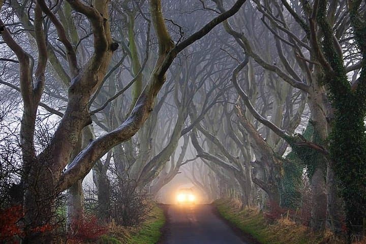 Giant's Causeway & Carrick-a-Rede: Private Game of Thrones Coast Tour from Belfast photo 5